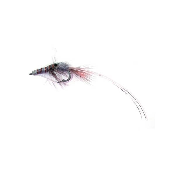 Jackson Grey Shrimp Saltwater Fly Lure