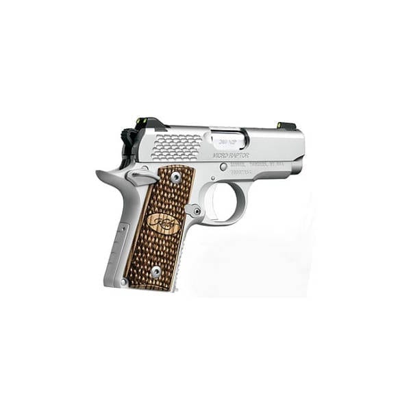 Kimber Micro Raptor Stainless .380 ACP w/ Night Sights