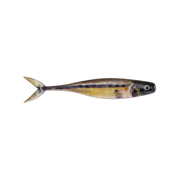 Berkley PowerBait, 3.4″ PBTCM3.4-HDFHM Champ Minnow