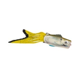 Strike King KVD Topwater Lure Pop’n Perch – Natural Shade Fishing