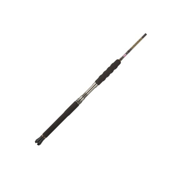 Penn Carnage II, 6’6″ CARBWII80200C66 Conventional Casting Rod Fishing