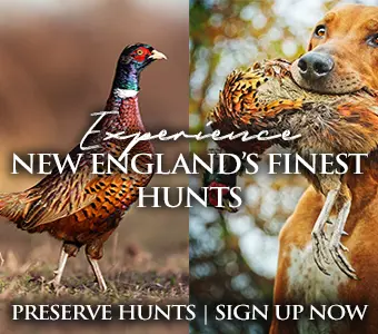 Experience New England's Finest Hunts
