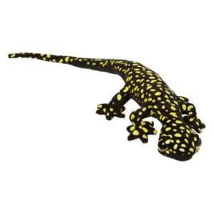 Nature Planet Funkyland Small Gecko Ocellated Velvet Stuffed Animal Toys