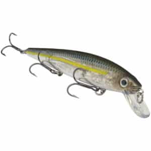 Strike King KVD Jerkbait 300 3 Hook Fishing Lure - Sexy Ghost Minnow