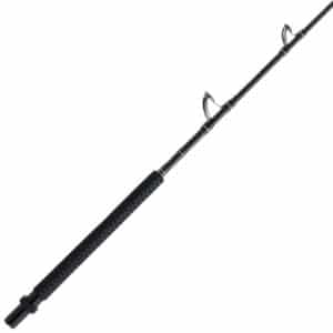 Penn Carnage III Offshore Blade Rod, CAROSIII60100C411RT Fishing