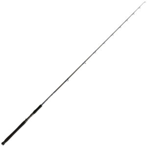 Shimano Teramar Northeast Casting Rod