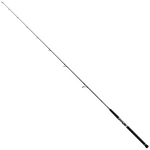 Daiwa Proteus Boat Spinning Rod – PTB74XHFS Fishing