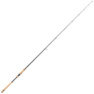 Jigging World Night Ranger Spinning Rod