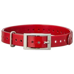 Garmin Square Buckle Collar Strap, .75" - Red