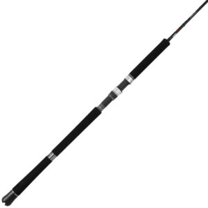 Jigging World Luminous Hi-Pitch Jigging Spinning Rod