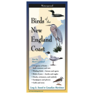 Earth Sky + Water Birds of the New England Coast Folding Guide (Closed)