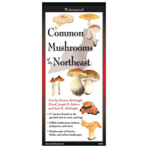 Earth Sky + Water Common Mushrooms of the Northeast Folding Guide (Closed)