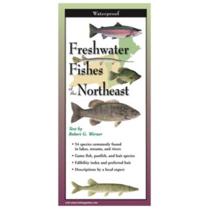 Earth Sky + Water Freshwater Fishes of the Northeast Folding Guide (Closed)