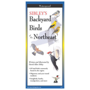 Earth Sky + Water Sibley's Backyard Birds of the Northeast Folding Guide (Closed)