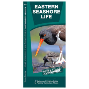 Waterford Press Eastern Seashore Life Folding Pocket Guide