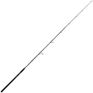 JS Company Bixod Inshore Supreme Spinning Rod