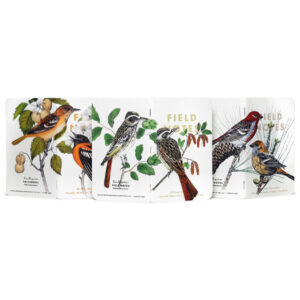 Field Notes Birds and Trees of North America, Pack B