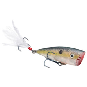 Strike King KVD Splash Jr Topwater Fishing Lure - Clear Ghost Sexy Shad