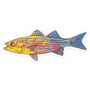 Rainy Dayz Creative Funky Striped Bass Sticker
