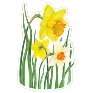 Earth Sky + Water Daffodil Nature Sticker