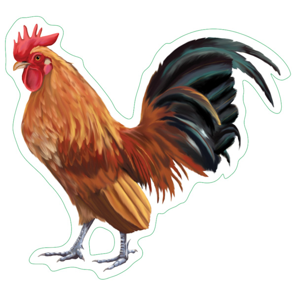 Earth Sky + Water Bantam Chicken Nature Sticker 1 Earth Sky + Water Bantam Chicken Nature Sticker