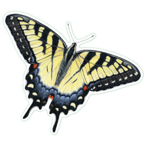 Earth Sky + Water Tiger Swallowtail Nature Sticker