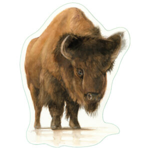 Earth Sky + Water Bison Nature Sticker
