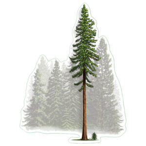 Earth Sky + Water Coastal Redwood Nature Sticker