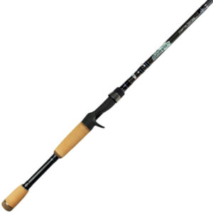 Dobyns Sierra Casting Rod