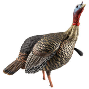 Avian-X HDR Jake Turkey Decoy
