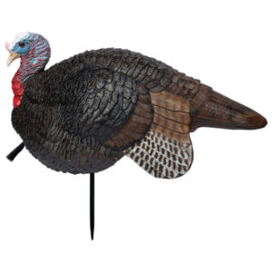 Primos Lil Gobbstopper Jake Turkey Decoy
