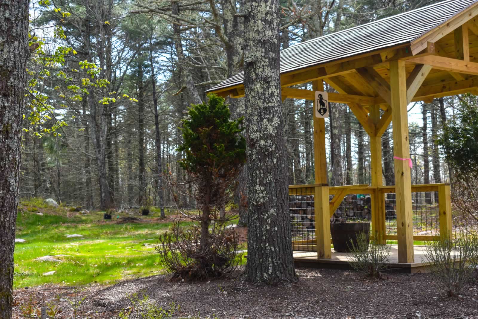 Station 5 — covered stand among the pines
