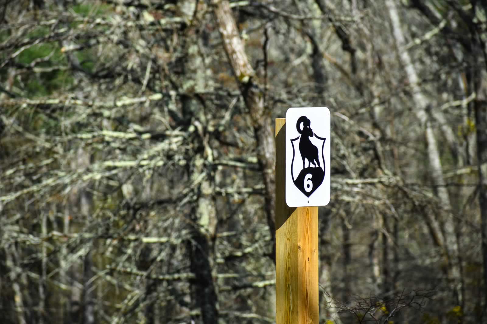 Station 6 — marker post over the low ground