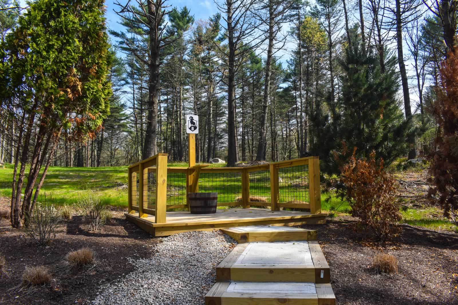 Station 8 — open platform off the woodline