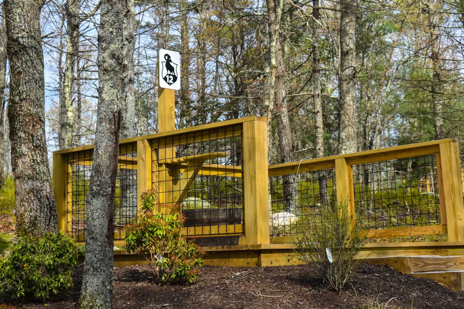 Station 12 — open platform over the timber