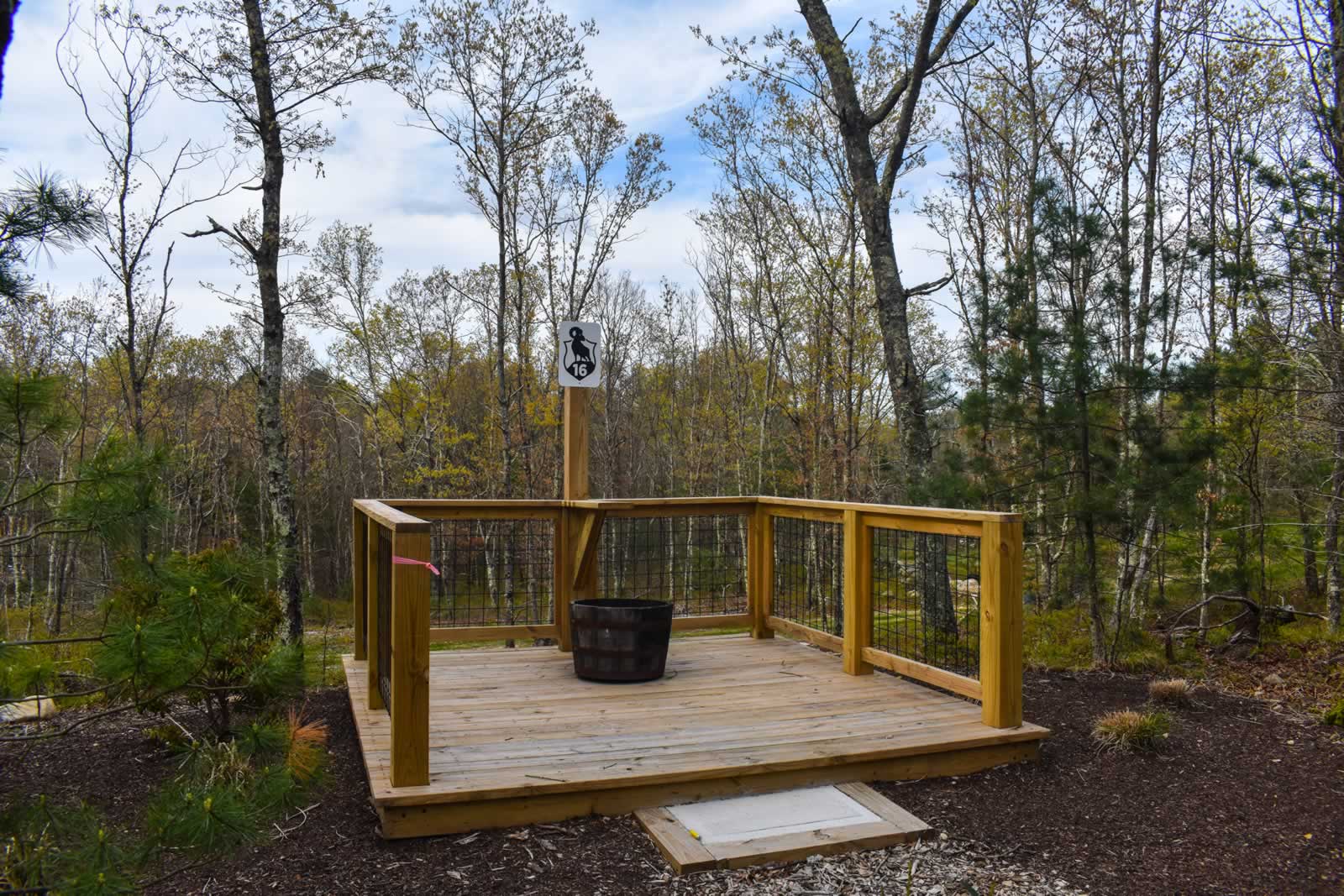 Station 16 — platform over the birch woods